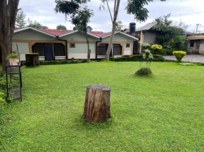 Wenzi Home B